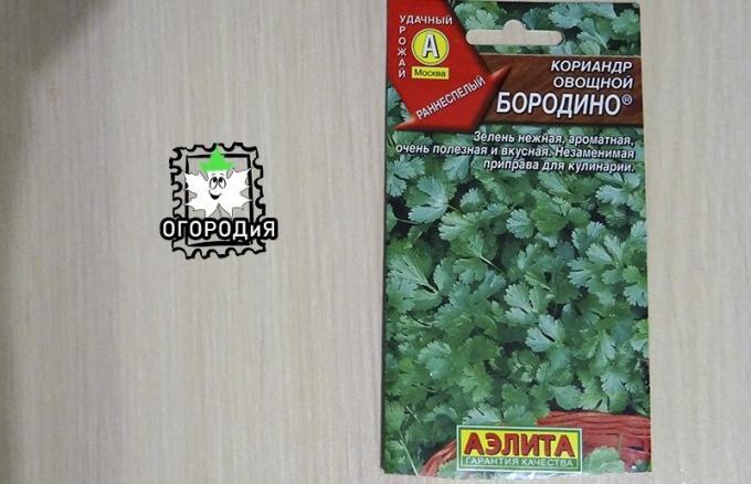 Zak van korianderzaad plantaardige Borodino
