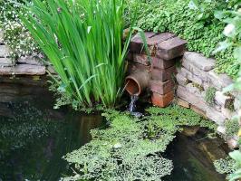 Voert water uit de plot: een afvoer, livnevki drainage