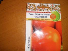 "Bullish hart orange" - een favoriet tomatenrassen met een felle kleur!