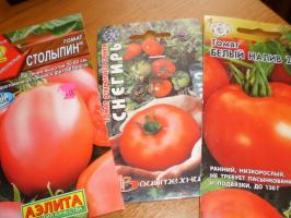 De eerste oogst van tomaten - beginnen met wat cijfers?