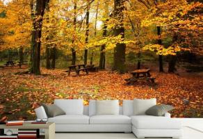 5 ongelooflijk mooie oplossingen voor de muren van uw huis of behang met de herfst motief, waardoor je je verliefd te versieren