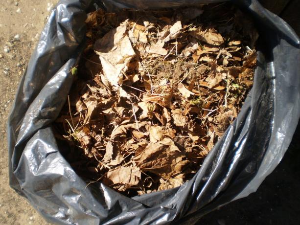 Bladdraagstoel in een vuilniszak voor compostering