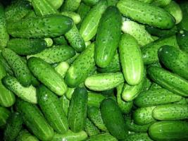 3 superpodkormki voor komkommers. zonder chemicaliën