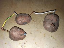 Elektriciteit uit aardappelen - voeren een eenvoudig experiment