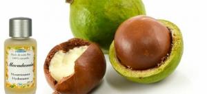 Macadamia-: nuttige eigenschappen en contra-indicaties