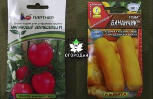 Huwelijk variëteiten en hybriden van tomaten