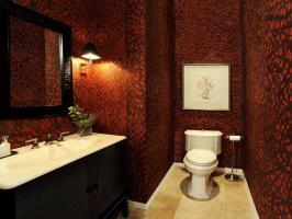 Hoe kan iedereen met zijn elegante en stijlvolle wc verrassen. 6 ontwerpen.
