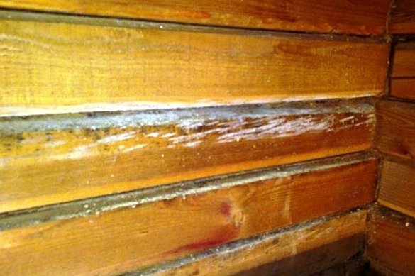 Conclusie: hout huis moet warm dampdoorlatende isolatiemateriaal, zoals minerale wol.