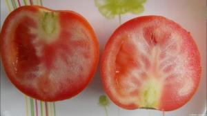 Waarom groeien tomaten met witte aderen, en wat te doen