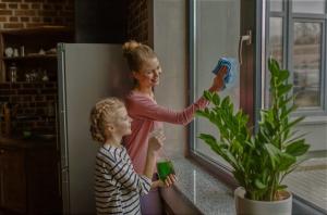 Hoe om schone ramen, meer voordelen, niet kwaad te brengen. 5 eenvoudige stappen