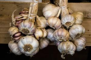 Redenen voor het drogen knoflook opgeslagen