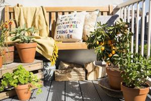 Hoe maak je een klein balkon, planten en bloemen versieren. 9 bruikbare oplossingen.