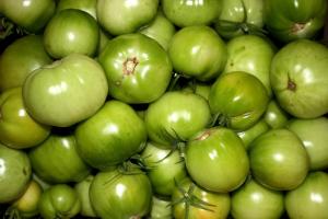 Kan ik de groene tomaten, en ging op hun rijping.