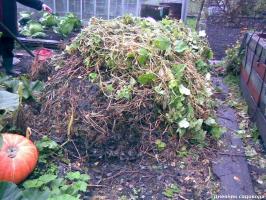 Versnellen de rijping van compost op keer