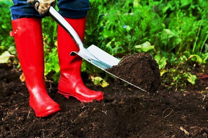 Turf wordt gemaakt in de lente en de herfst. Illustraties voor een artikel genomen van het internet