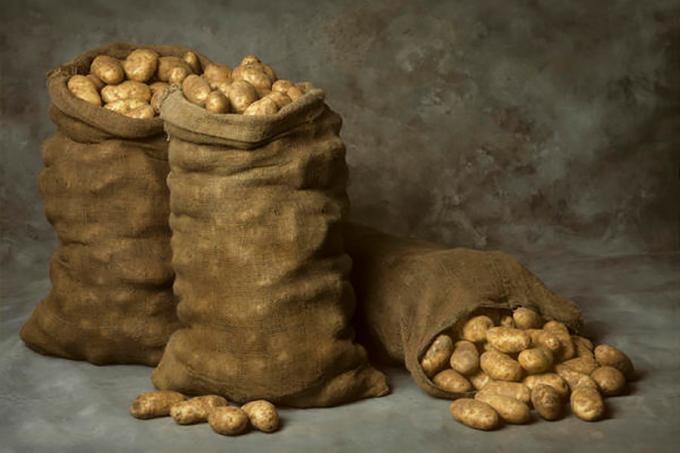 Het opslaan van aardappelen in de winter in de zakken - geweldig, maar niet de enige manier!