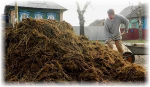 Welke planten zullen de mest te schaden?