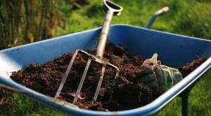 Verbetering van de vruchtbaarheid van de bodem zonder het gebruik van mest.