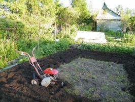 Is het nodig om de tuin te ploegen voor de winter: hoe en wanneer de grond te ploegen in de herfst juiste