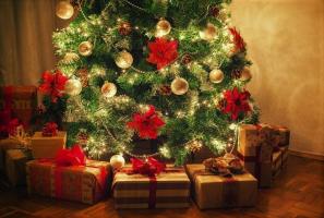 Hoe maak je een kerstboom op basis van uw sterrenbeeld te kiezen. 12 ideeën die uitblinken