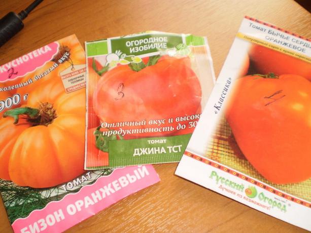 Mid-grade tomaten: Stijgend hart, Gina TST, Bison oranje
