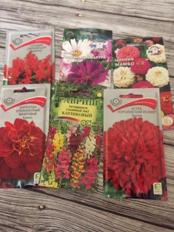 Annuals voor mijn bloemperken. De totale aankoopprijs - 136 roebel.
