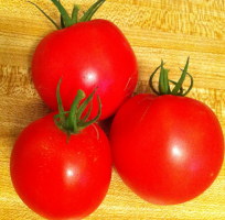 De voeding tomaten fasen