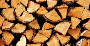 Wat is een betere hout om de oven te verwarmen?