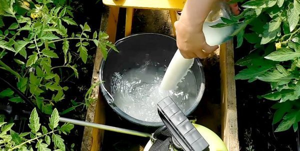 Bemesting komkommer melk brengt opmerkelijke resultaten (samozvetik.ru)