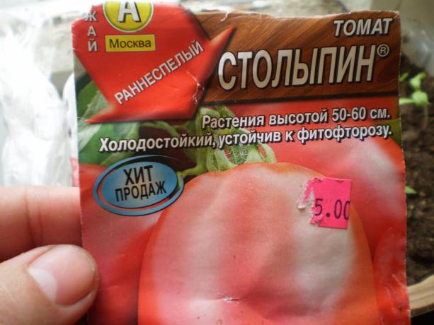 De verscheidenheid van de tomaat "Stolypin"