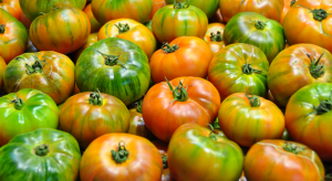 Super dressing van boor voor tomaten