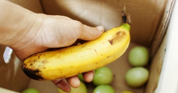 Rijpe banaan versnelt het rijpen van groene tomaten