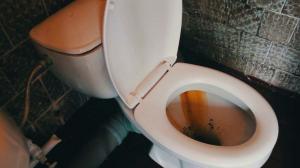 Hoe u snel en gemakkelijk het schoonmaken van de wc tegen roest en geel plaque?