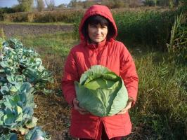 5 belangrijkere dingen te doen in de tuin in oktober voor een rijke oogst in 2019