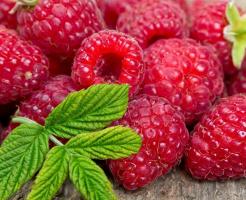 Berry-framboos: planten en onderhoud functies. Oogsten per jaar