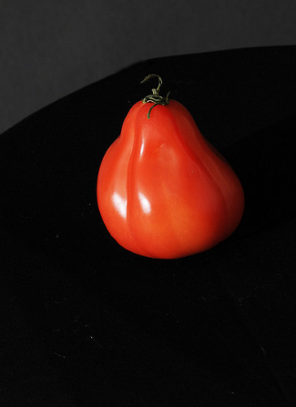 De verscheidenheid van de tomaat "Puzata hut"