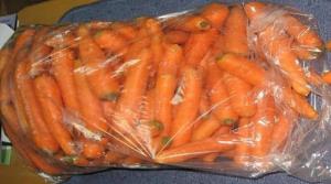 Hoe te wortelen in een plastic zak te houden tot de volgende oogst.