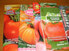 Super methode weken tomatenzaad. Hoe het niet om rassen mengen? masterclass