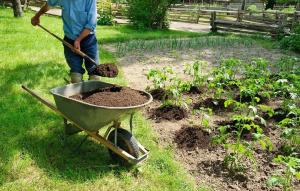 Organische meststof in de tuin: 5 best een zonder chemie