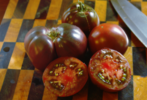 5 soorten van heerlijke tomaten met paarse nuances