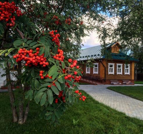 Rowan - een traditioneel sieraad van Russische dorpen! (Foto uit playcast.ru)