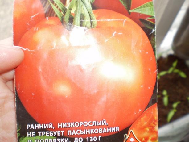 De verscheidenheid van de tomaat "White vullen 241 