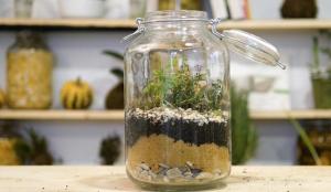 Waarom niet weg te gooien glazen potten. 5 DIY ideeën