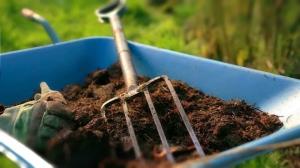 4 beste manieren om turf te gebruiken in de tuin. En sommige van de risico's